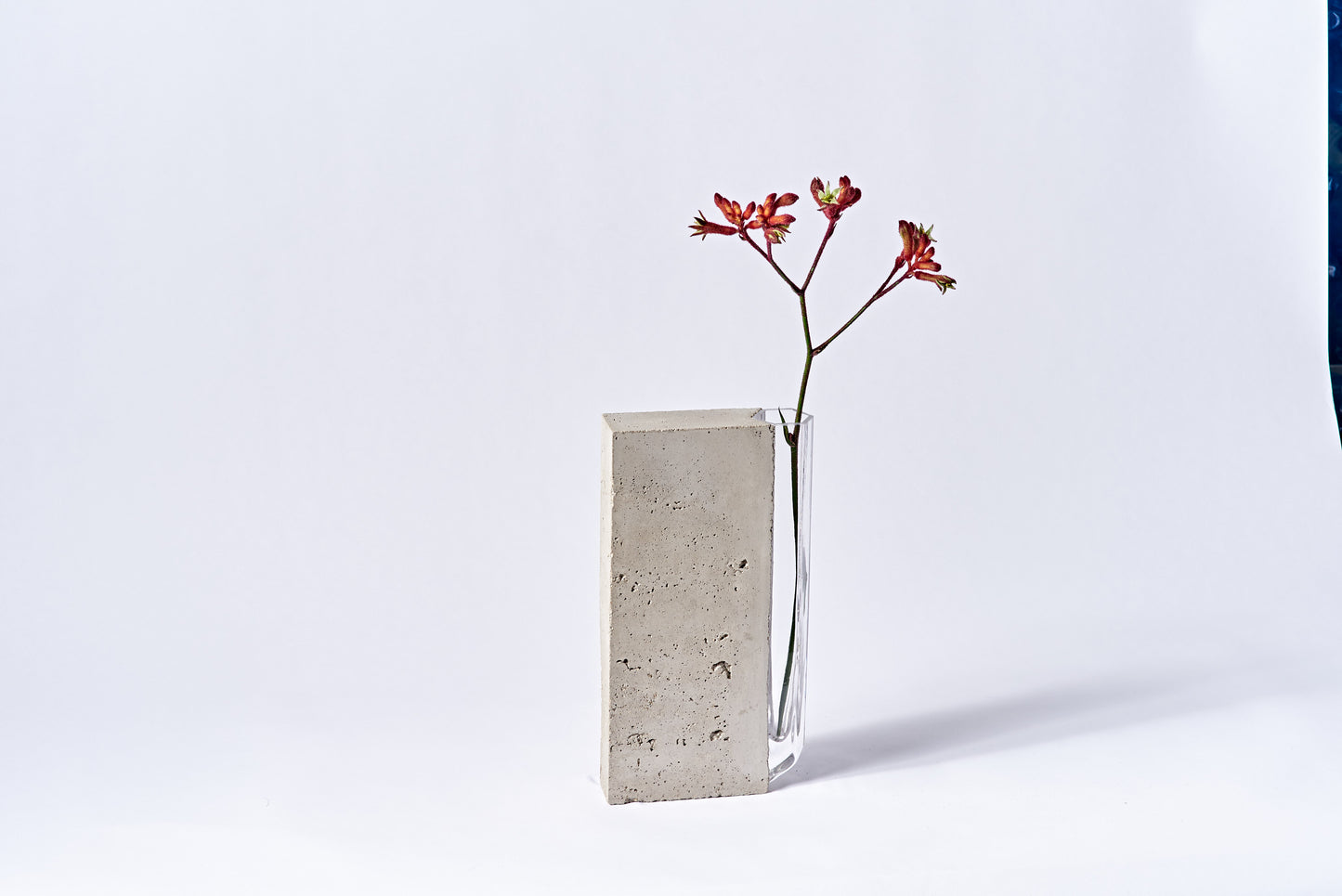 Side Flute IV