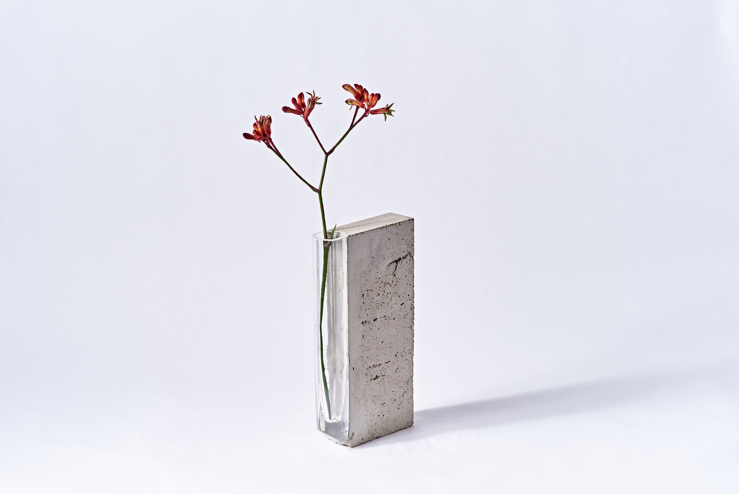 Side Flute IV