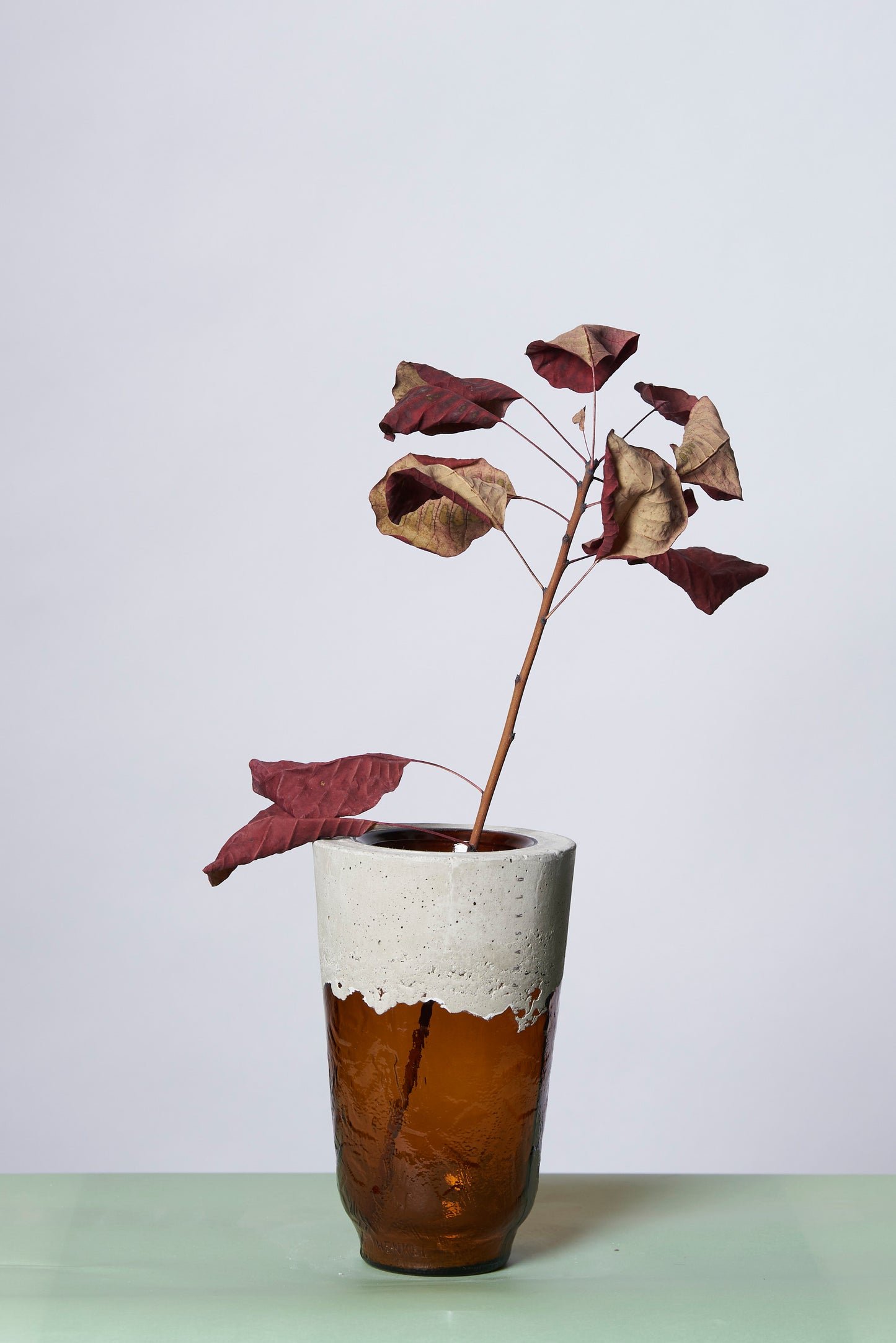 Brown Cup