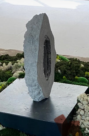 Stone in Amsterdam