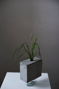 Square Vase